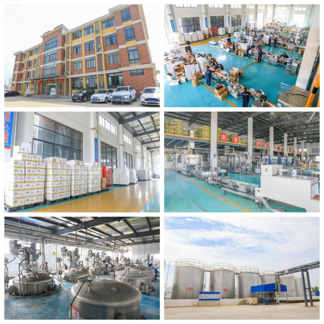 Factory Price Pyrimethanil 40%Wdg Fungicide & Bactericide