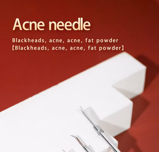 Aghi per la rimozione dei punti neri dell'acne in acciaio inossidabile Pratico strumento per la pulizia del viso